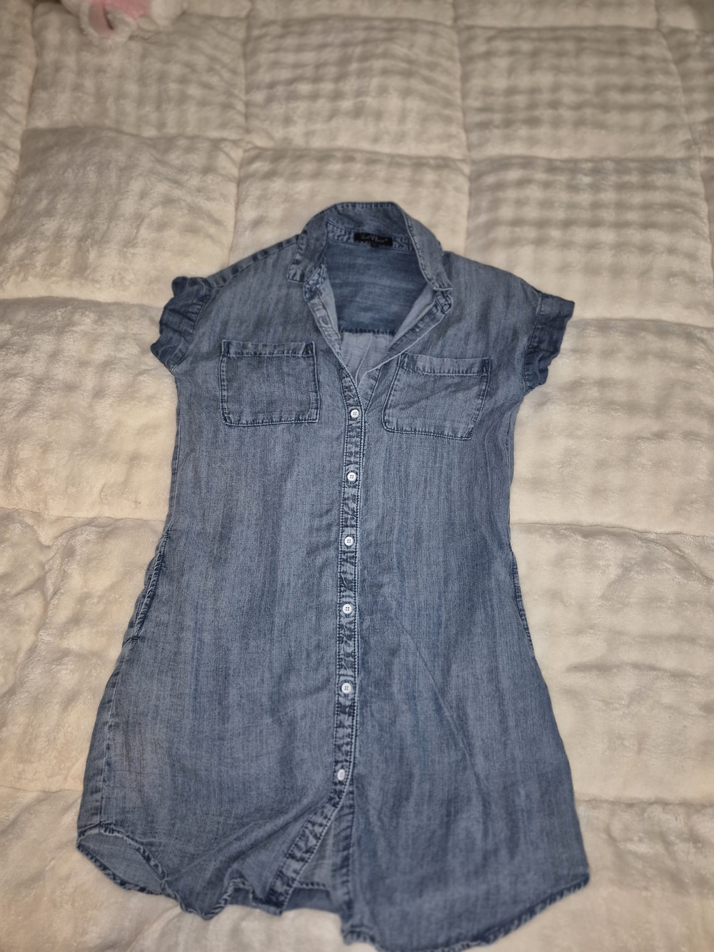 Casual Chambray Button-Front Mini Dress - Blue